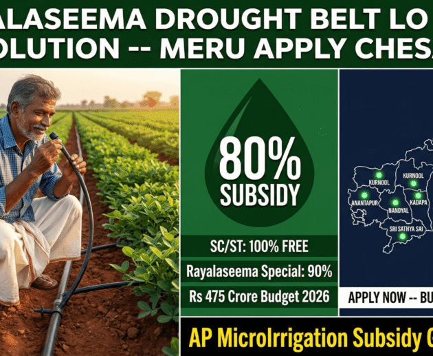 rayalaseema drip irrigation